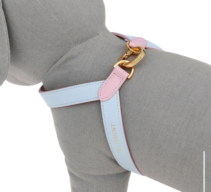 리리쁘앙 파스텔핑크/블루 투톤 뷔뷔 강아지하네스 판매합니다 이미지