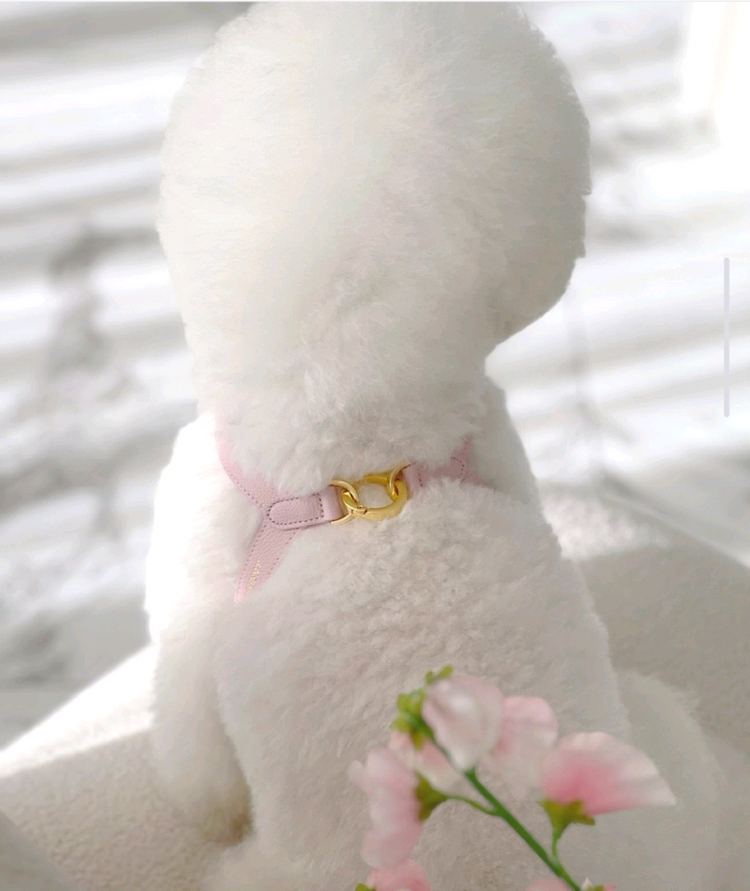 리리쁘앙 파스텔핑크/블루 투톤 뷔뷔 강아지하네스 판매합니다 이미지