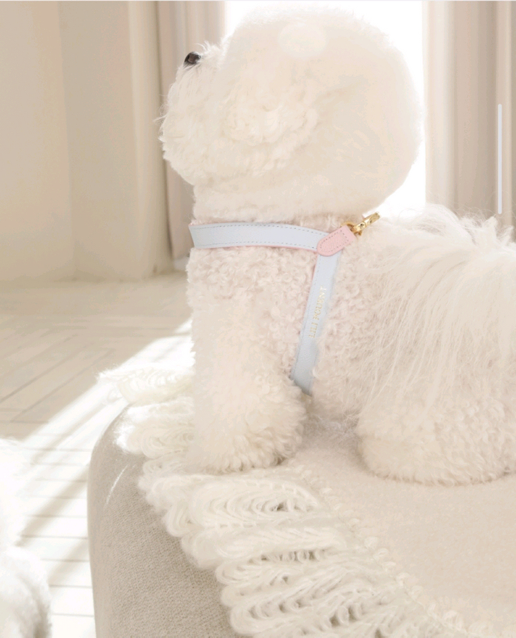 리리쁘앙 파스텔핑크/블루 투톤 뷔뷔 강아지하네스 판매합니다 이미지