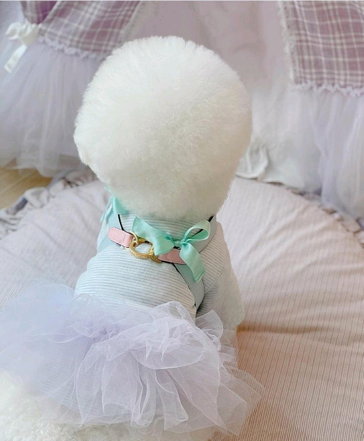 리리쁘앙 파스텔핑크/블루 투톤 뷔뷔 강아지하네스 판매합니다 이미지