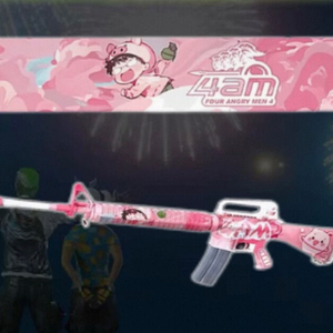 배그 4am 핑크 네임플에이트 m16스킨 이미지