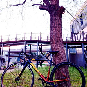 엔진11 볼텍스 이미지