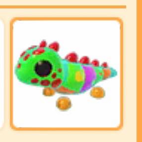 입양하세요 이구아나 이미지