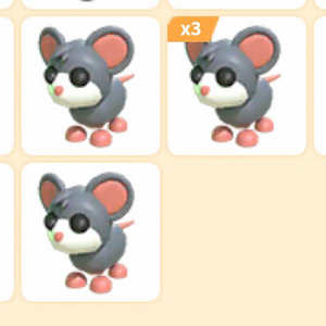 입양하세요 펫 쥐 이미지