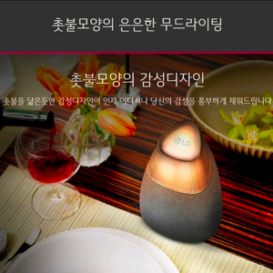 LG 블루투스 포터블 캔들 스피커 PH3(2가지 타입) 이미지