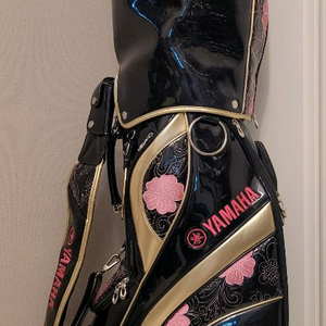 + 젝시오 + 여성용 골프채 풀세트 이미지