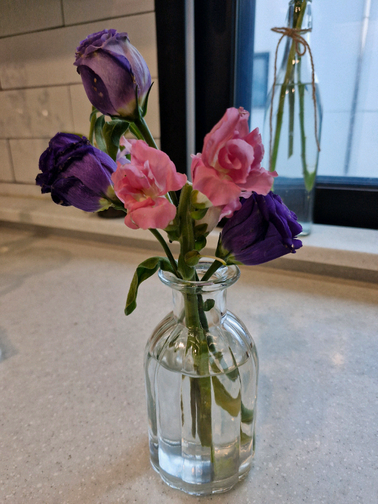 캐논 eos 300d dslr 카메라 +EF-S 18-55mm is 렌즈 이미지