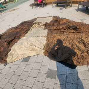 캠프벨리 카쉘터 차박텐트 이미지