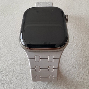 애플워치10 내추럴티타늄 42mm 판매 이미지