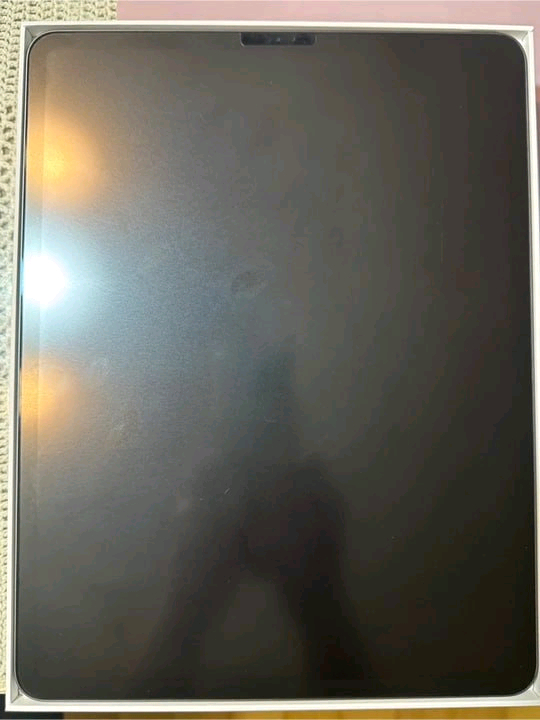 아이패드 프로 4세대 12.9인치 + 애플펜슬 2세대 판니다 이미지