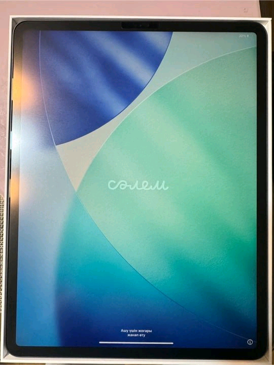 아이패드 프로 4세대 12.9인치 + 애플펜슬 2세대 판니다 이미지