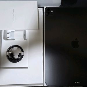 아이패드 프로 m5 13인치 256 셀룰러 이미지