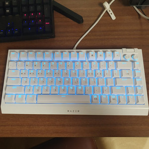 레이저 BlackWidow 블랙위도우 V4 75% 화이트 KR 유선 텐키리스 게이밍 키보드 팝니다. 이미지
