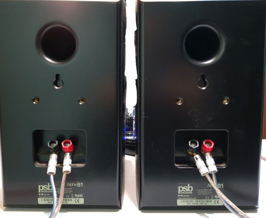 psb alpha b1 북쉘프 패시브 스피커 이미지