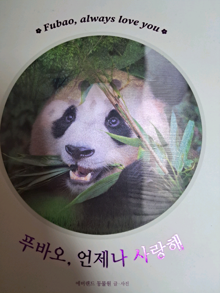 푸바오루이후이 인기도서할인+푸바오 품절굿즈+고양이 펜굿즈 이미지