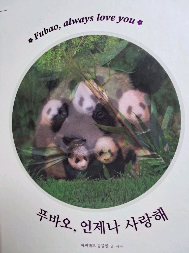 푸바오루이후이 인기도서할인+푸바오 품절굿즈+고양이 펜굿즈 이미지