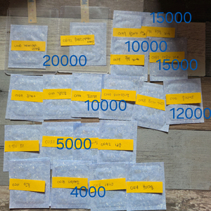 포켓몬 띠부씰 시즌5 전설 우라오스 루기아 등 이미지