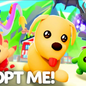 입양하세요 펫 비싸게사요 이미지