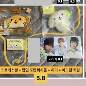 엔시티 위시 료 룐룐 시온 리쿠 유우시 재희 사쿠야 포카 아크릴 키링 스트레스 브레드 포켓 위시돌 히퍼 이미지