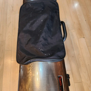 뱀 바이올린 하드케이스 팝니다 이미지