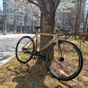 엔진11 2021년식 볼텍스 판/대 이미지