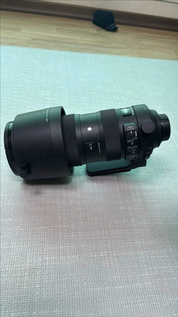 시그마 60-600mm F4.5-6.3 DG OS HSM | Sports렌즈 판매합니다. - 안심되는 중고거래
