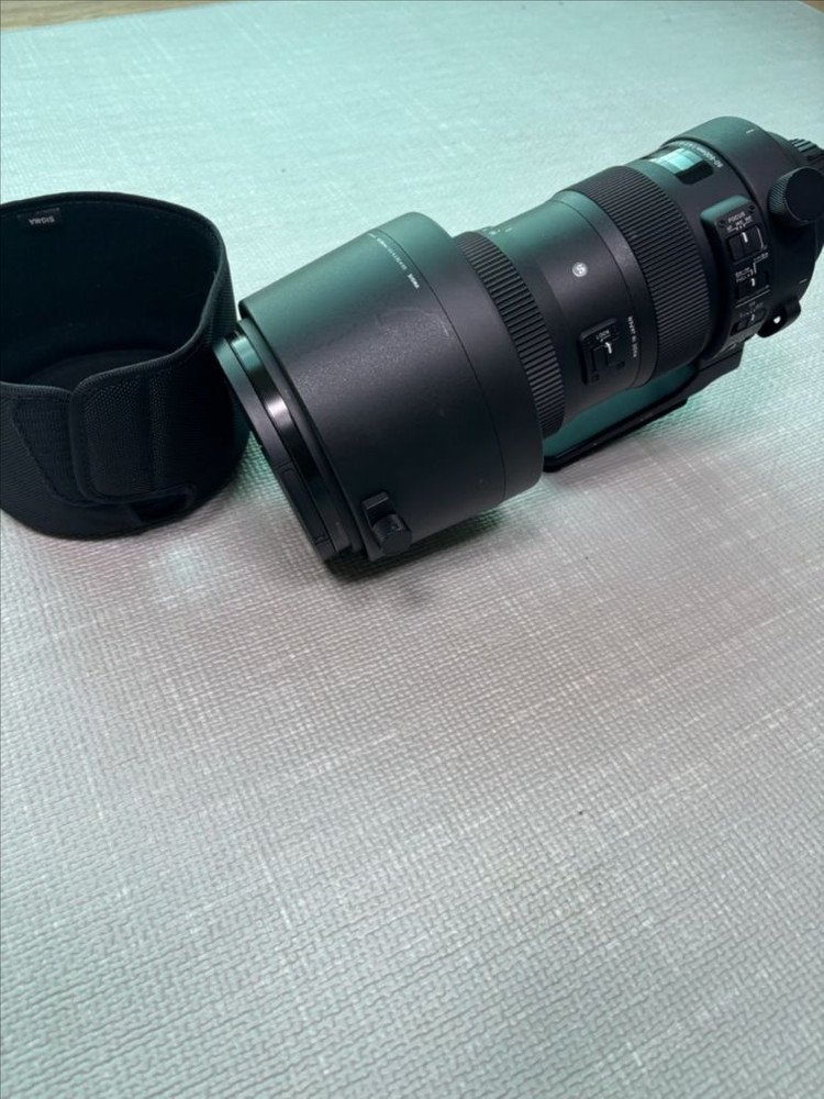 시그마 SIGMA 60-600mm판매합니다 이미지