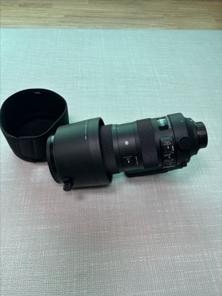 시그마 SIGMA 60-600mm판매합니다 이미지