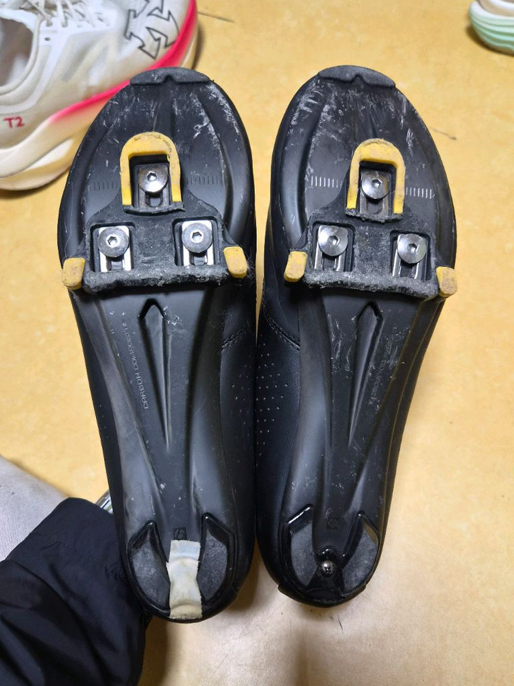 본트레거 벨로시스 43 이미지