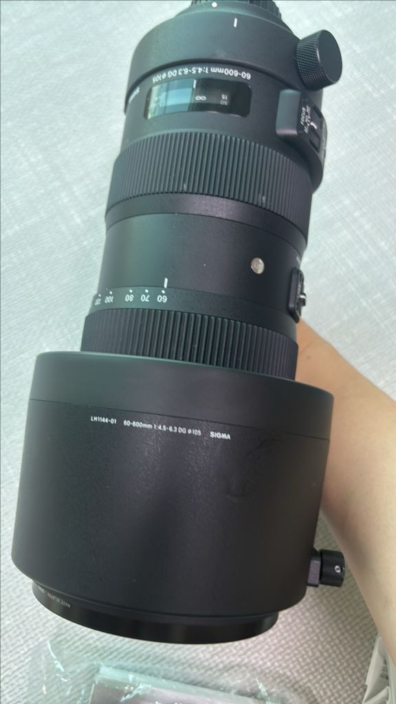 시그마 SIGMA 60-600mm판매합니다 이미지