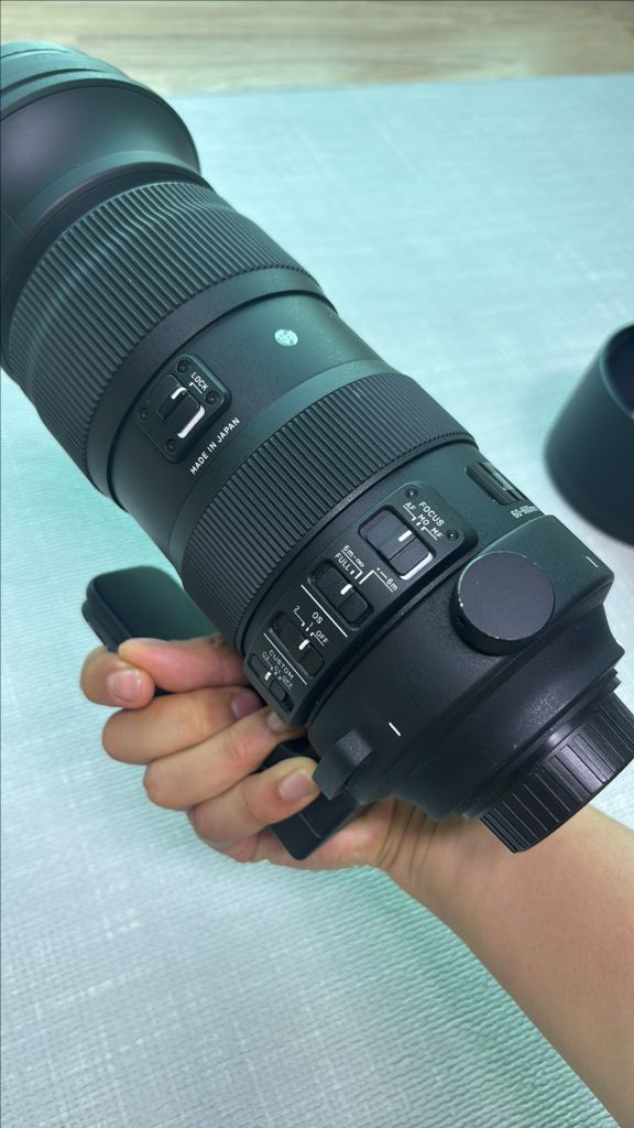 시그마 SIGMA 60-600mm판매합니다 이미지