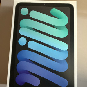 아이패드 미니6 스페이스 그레이 256 WIFI 와이파이 모델 이미지