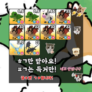 입양하세요 펫 팝니다 이미지