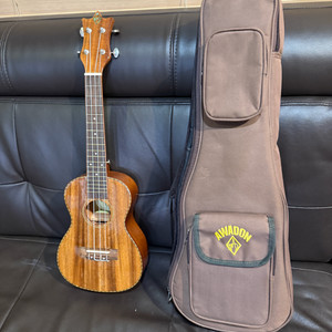 우쿨렐레 이미지