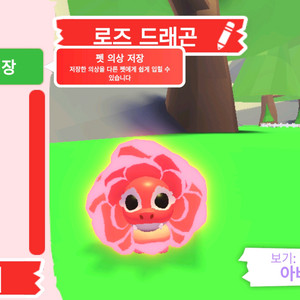 입양하세요 펫 네온 로즈 드래곤 판매합니다. 이미지