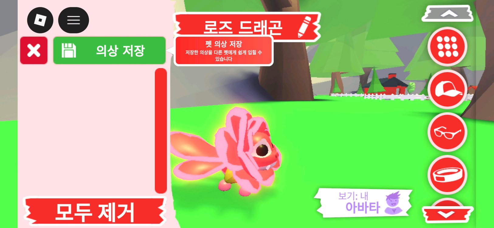 입양하세요 펫 네온 로즈 드래곤 판매합니다. 이미지