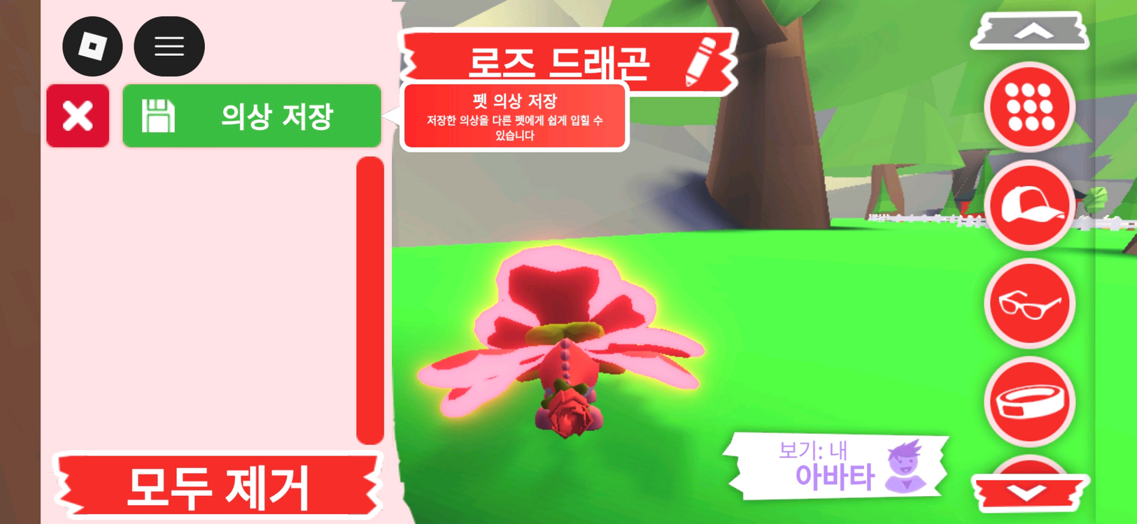 입양하세요 펫 네온 로즈 드래곤 판매합니다. 이미지