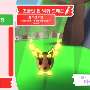 입양하세요 펫 메가네온 초콜릿 칩 박쥐 드래곤(메초박) 판매합니다. 이미지