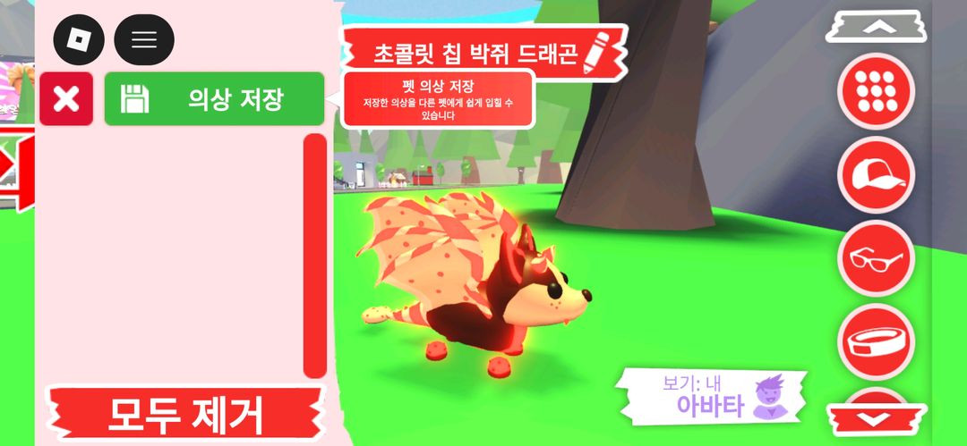 입양하세요 펫 메가네온 초콜릿 칩 박쥐 드래곤(메초박) 판매합니다. 이미지