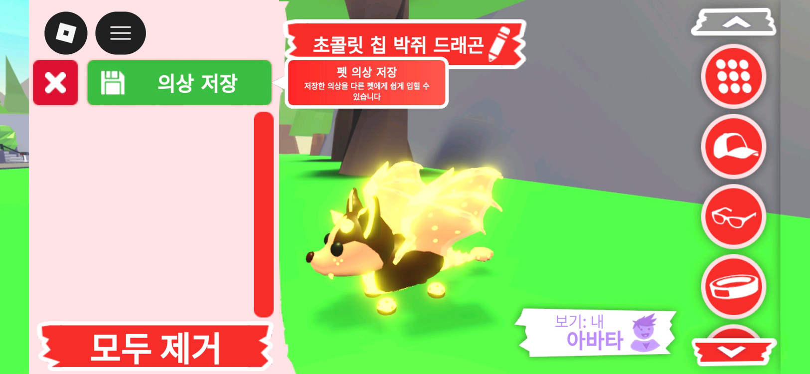 입양하세요 펫 메가네온 초콜릿 칩 박쥐 드래곤(메초박) 판매합니다. 이미지