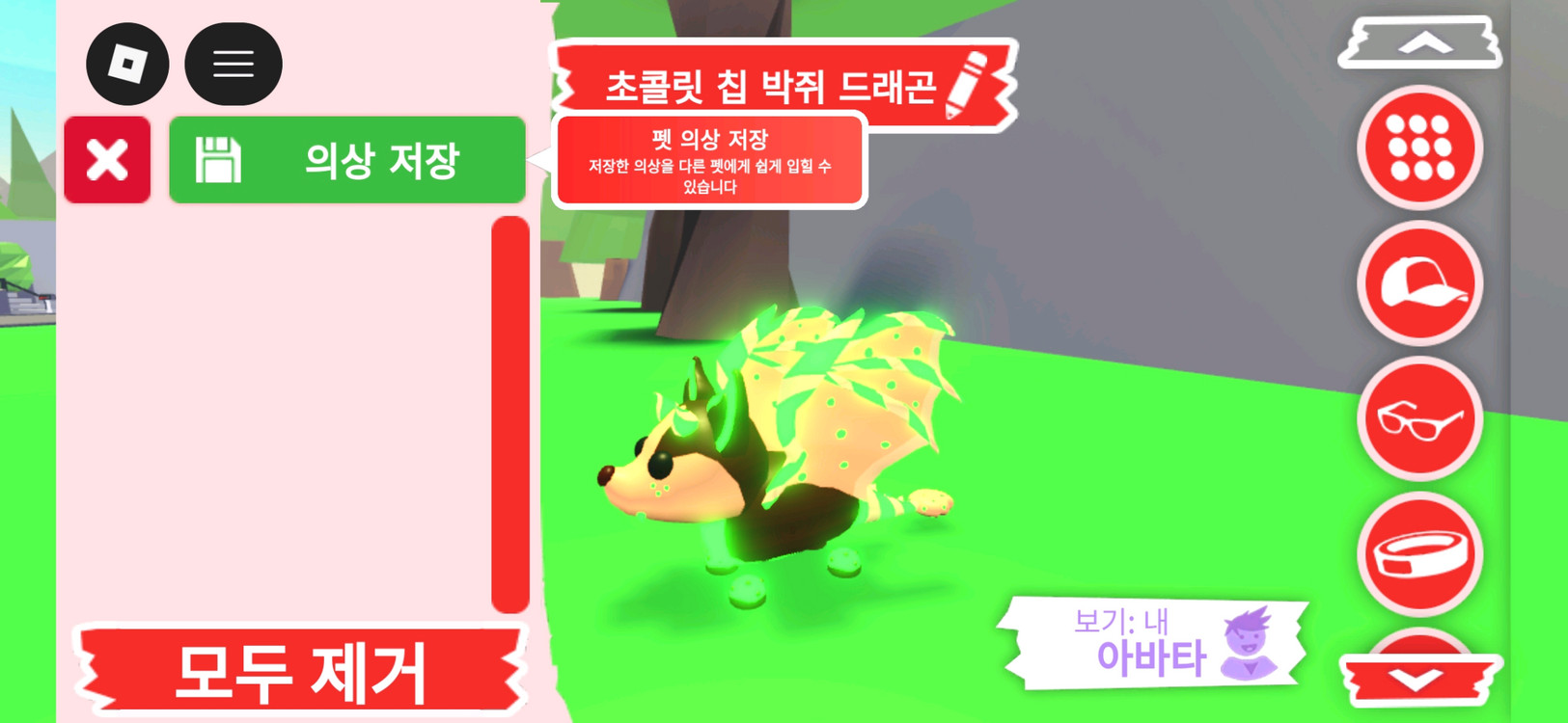 입양하세요 펫 메가네온 초콜릿 칩 박쥐 드래곤(메초박) 판매합니다. 이미지