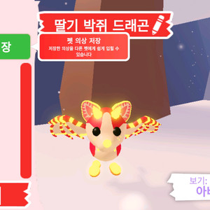 입양하세요 펫 메가네온 딸기 박쥐 드래곤 (메딸박) 판매합니다 이미지