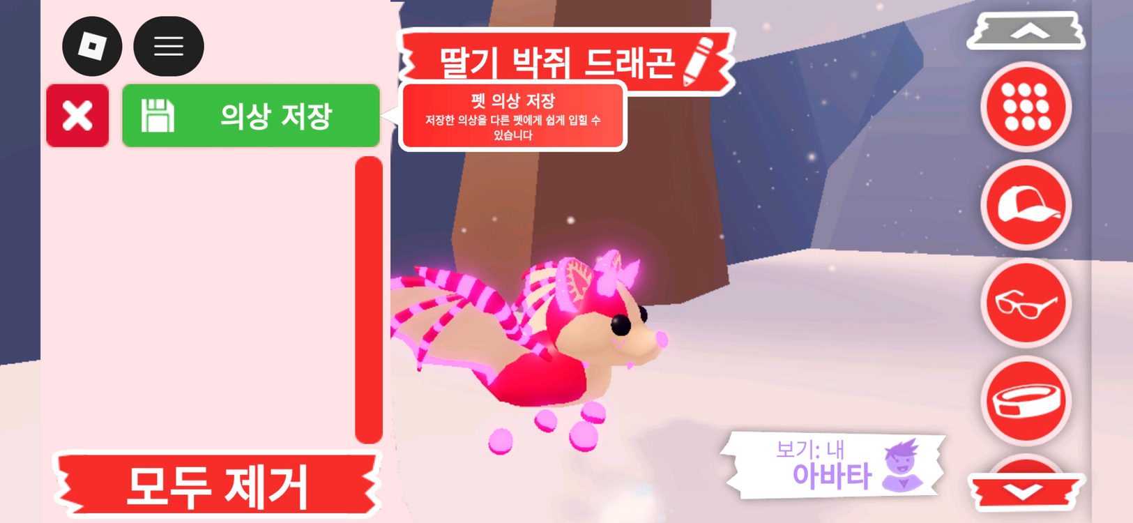 입양하세요 펫 메가네온 딸기 박쥐 드래곤 (메딸박) 판매합니다 이미지