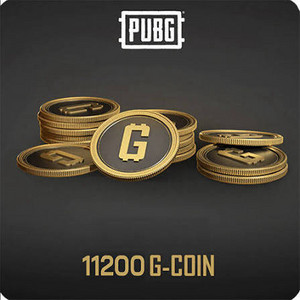 배그 스킨코드 11200지코인 이미지