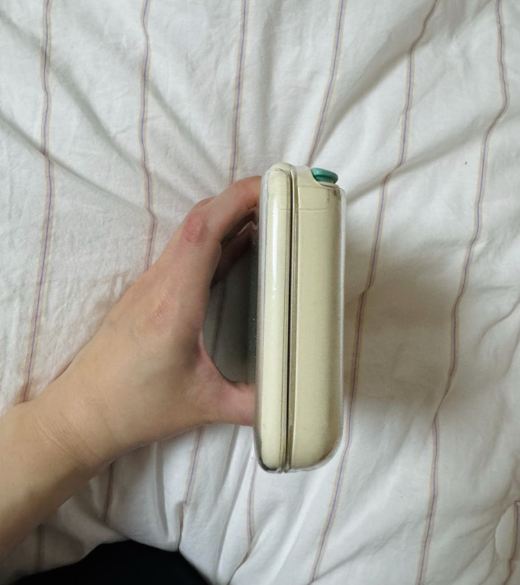 튀어나와요 동물의숲 에디션 닌텐도2DS 이미지