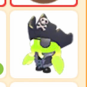 입양하세요 해적선장 펫 이미지