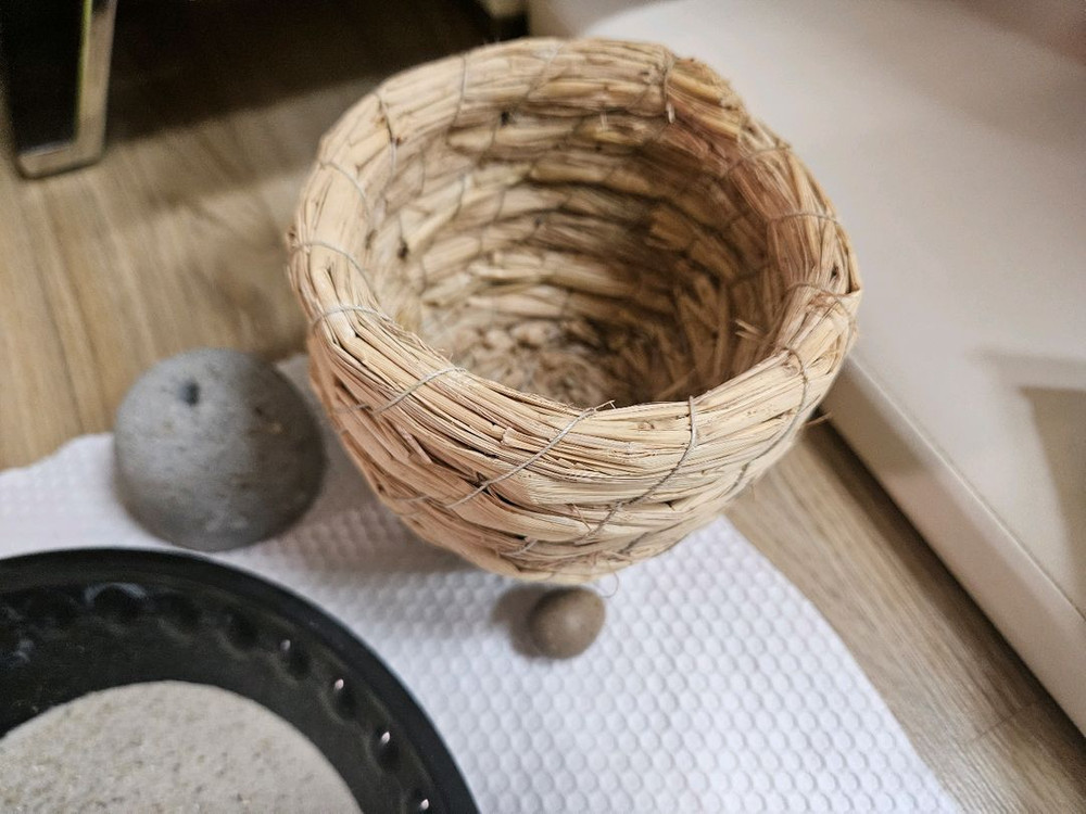 미니메추리 분양 및 용품 이미지