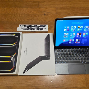 아이패드 프로 11 M4 셀룰러 512GB 이미지