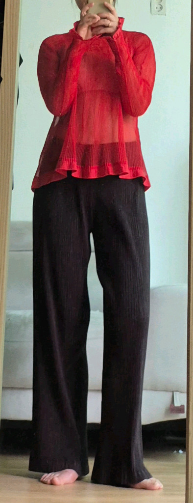 이세이미야케 플리츠플리즈 시스루 트위스트탑 이미지