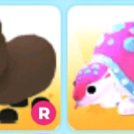 입양하세요 펫 일괄 판매합니다~ 이미지